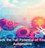 Unlock the Full Potential of Your IT Automation